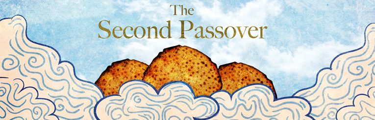 Second Passover Pics