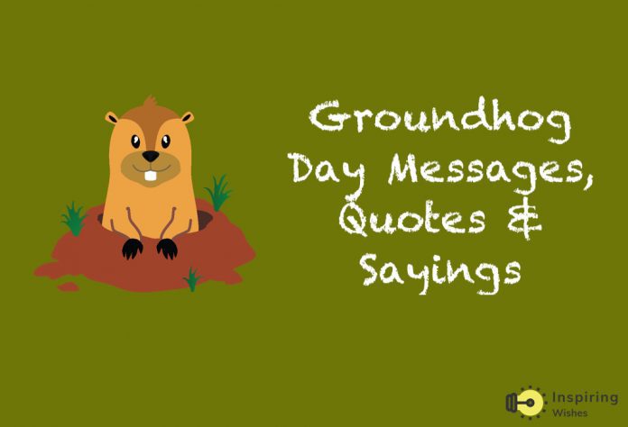 Happy Groundhog Day Quotes & Sayings
