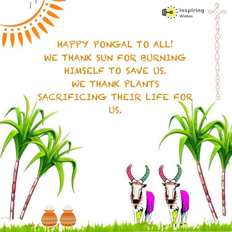 Pongal English lines Wishes