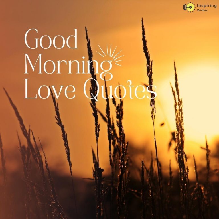 Good Morning Love Quote