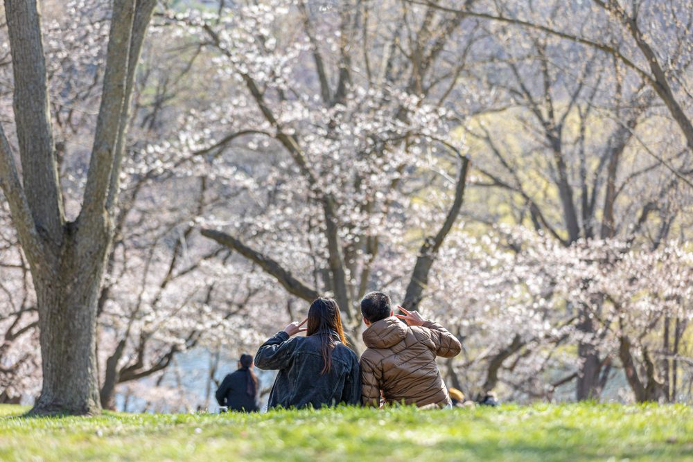 best places for seniors to live