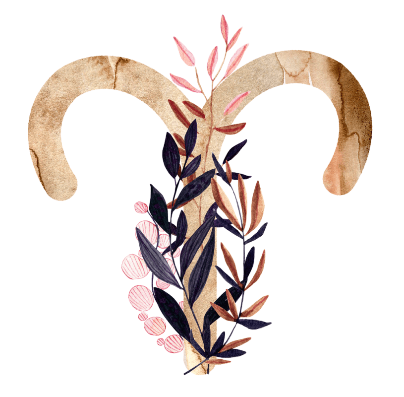 zodiac