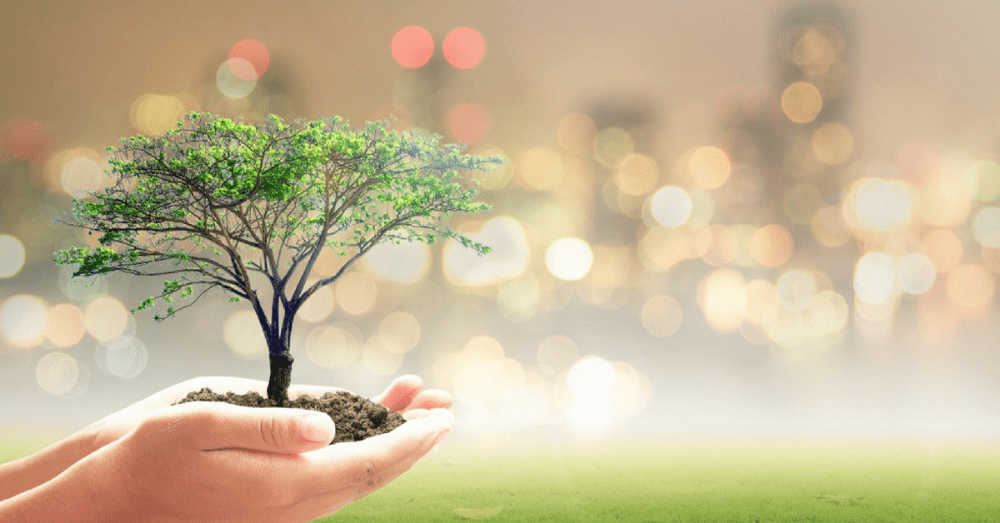 Plant tree, Save India Moment on Republic day
