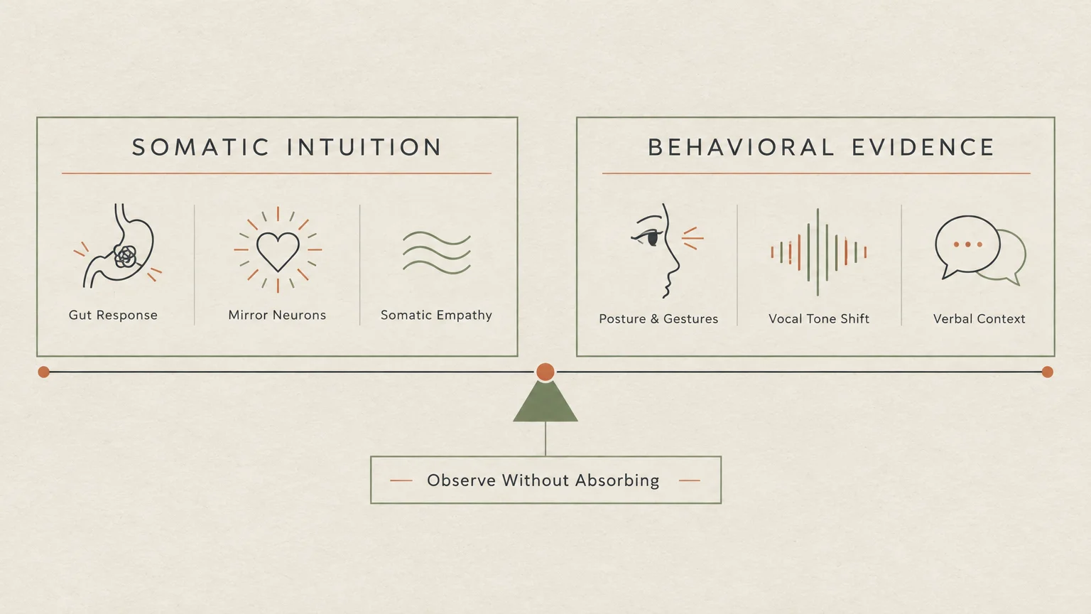 Diagram of a seesaw balancing Somatic Intuition and Behavioral Evidence boxes above an Observe Without Absorbing label.
