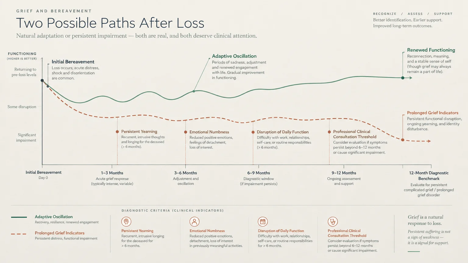 Line graph comparing adaptive oscillation and prolonged grief pathways over a 12-month timeline after bereavement.