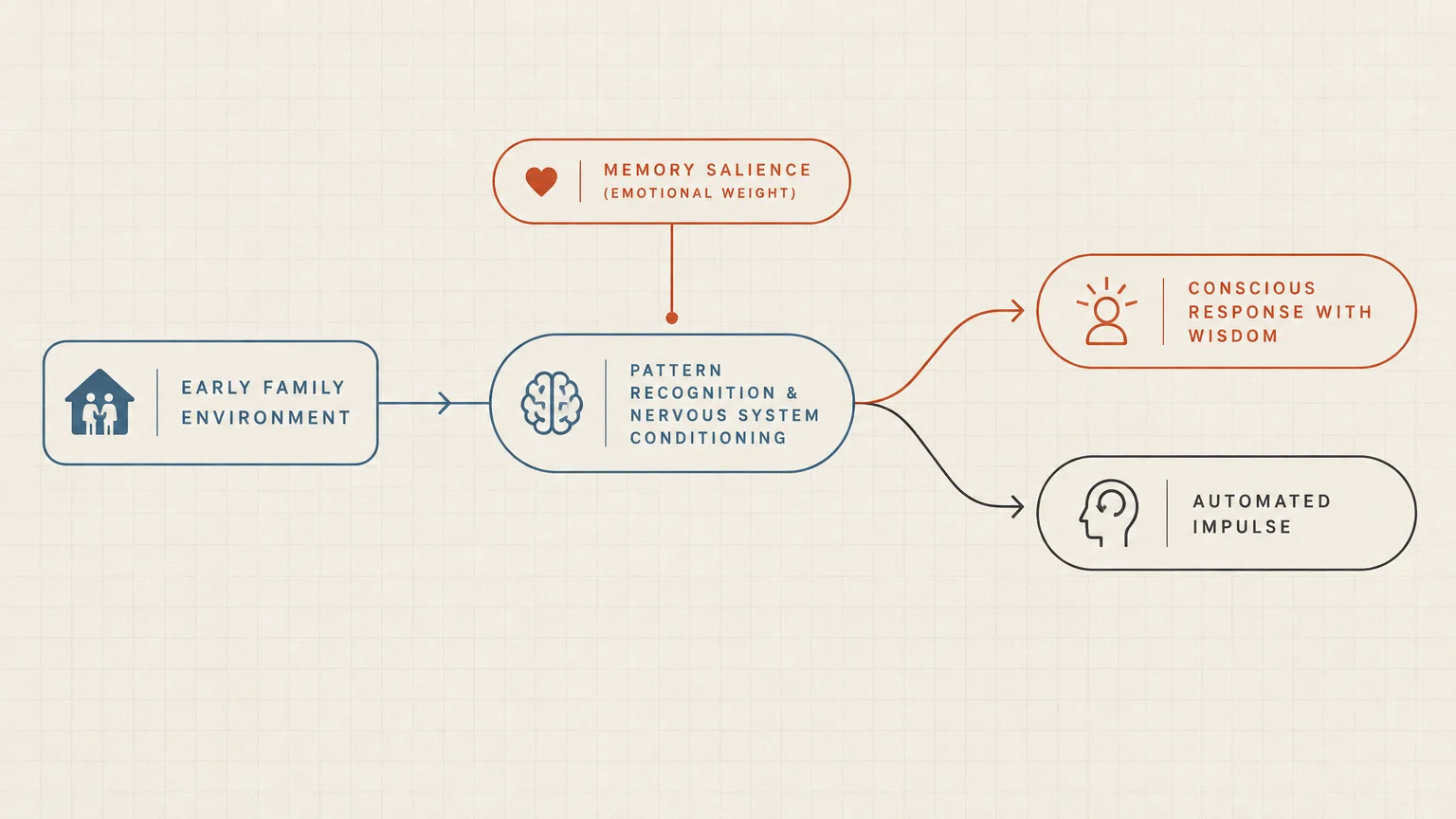 Flowchart showing early family environment leading to pattern recognition and nervous system conditioning, splitting into two responses.